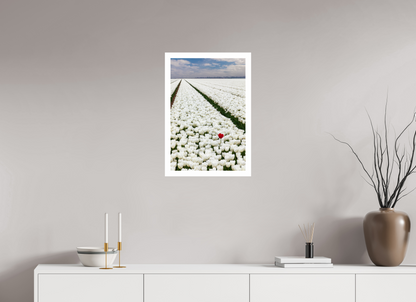 40 x 60 cm, Unframed Tulips