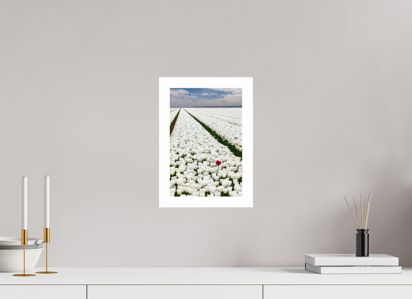 20 x 30 cm, Unframed Tulips