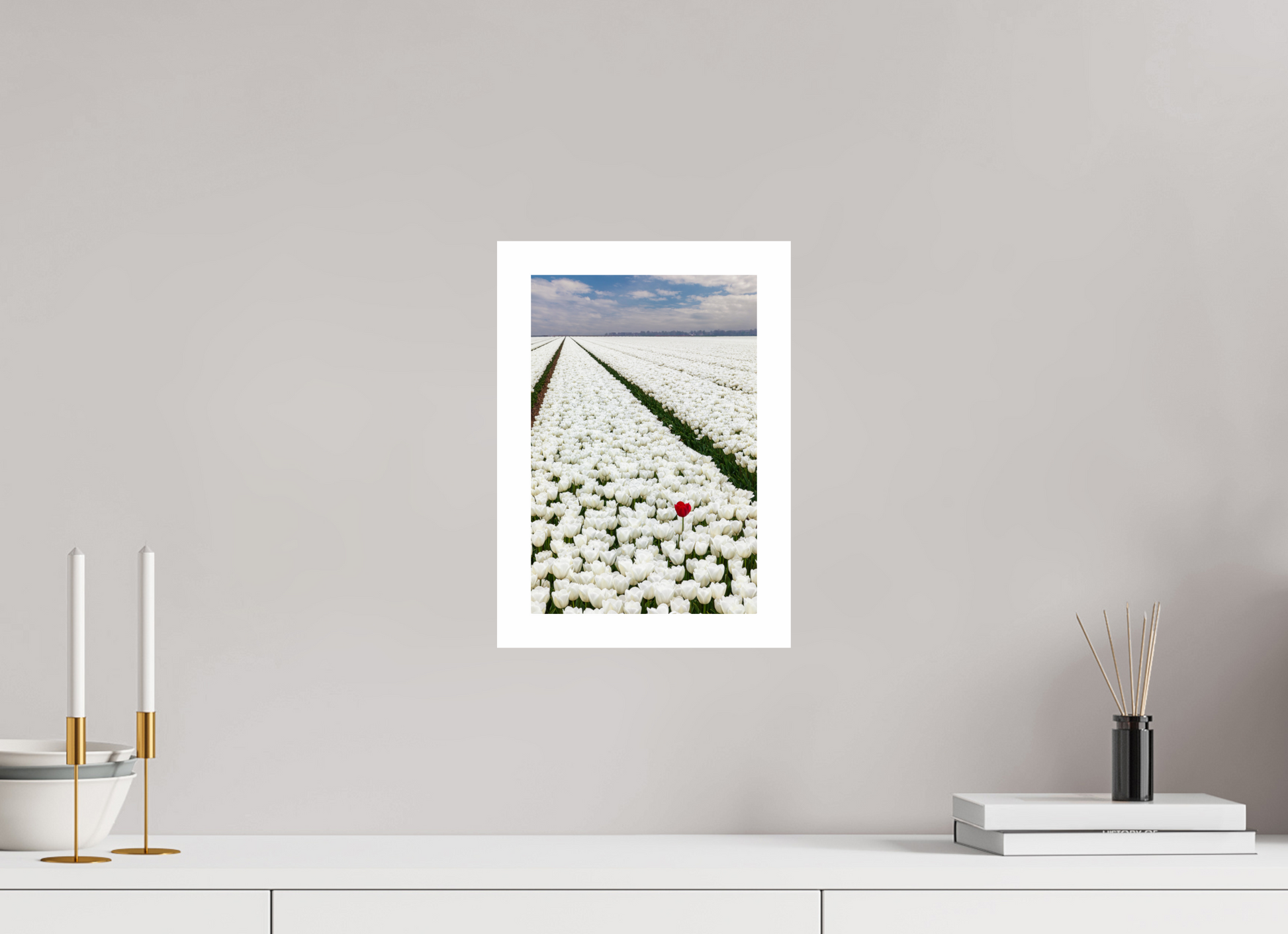 20 x 30 cm, Unframed Tulips