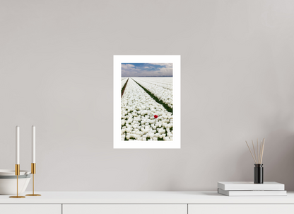 20 x 30 cm, Unframed Tulips