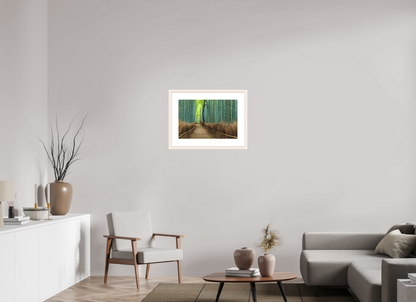 60 x 40 cm, White Frame (museum glass) Bamboo Grove in Arashiyama